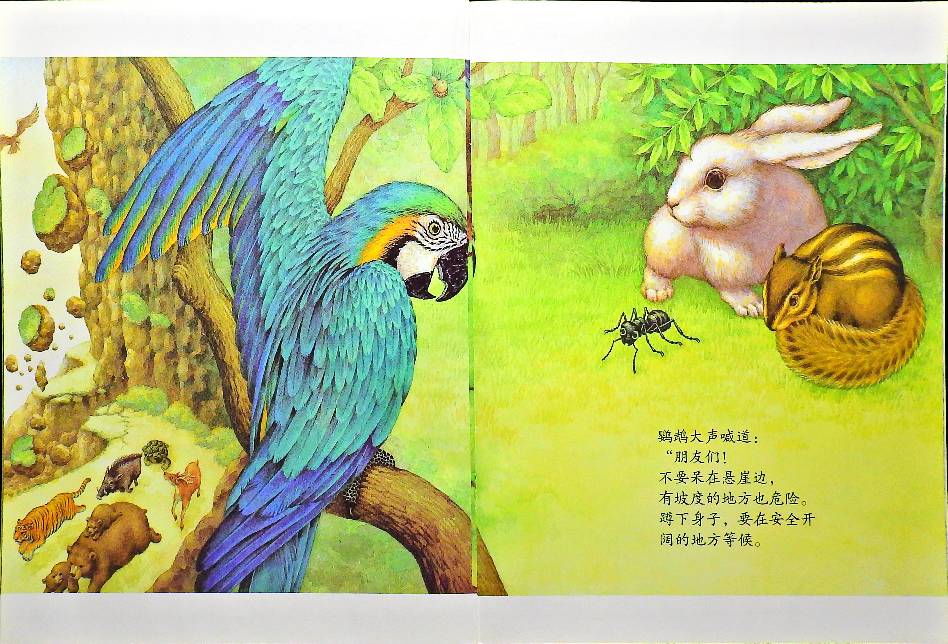 为什么会地震 (08),绘本,绘本故事,绘本阅读,故事书,童书,图画书,课外阅读